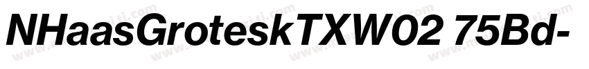NHaasGroteskTXW02 75Bd字体转换